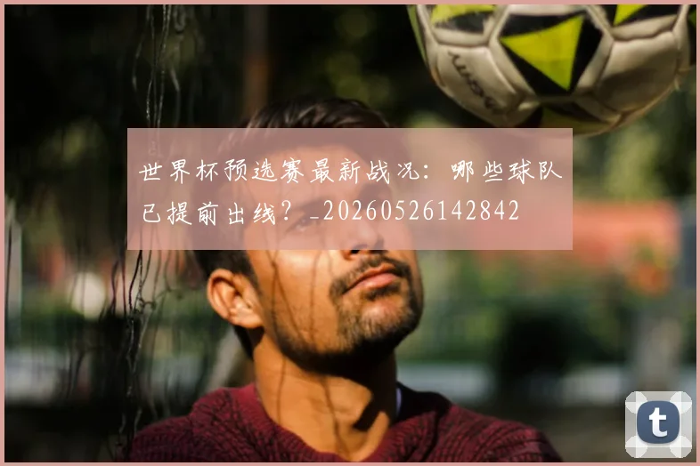 世界杯预选赛最新战况:哪些球队已提前出线?_20260526142842