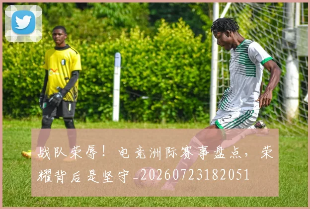 战队荣辱！电竞洲际赛事盘点，荣耀背后是坚守_20260723182051