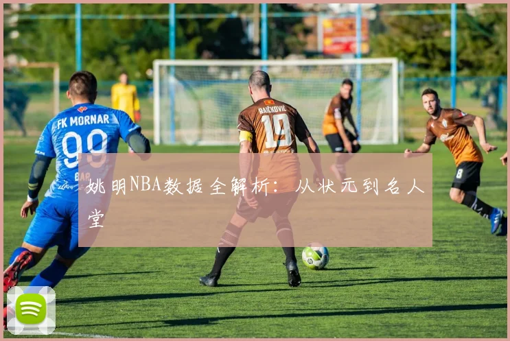姚明NBA数据全解析:从状元到名人堂